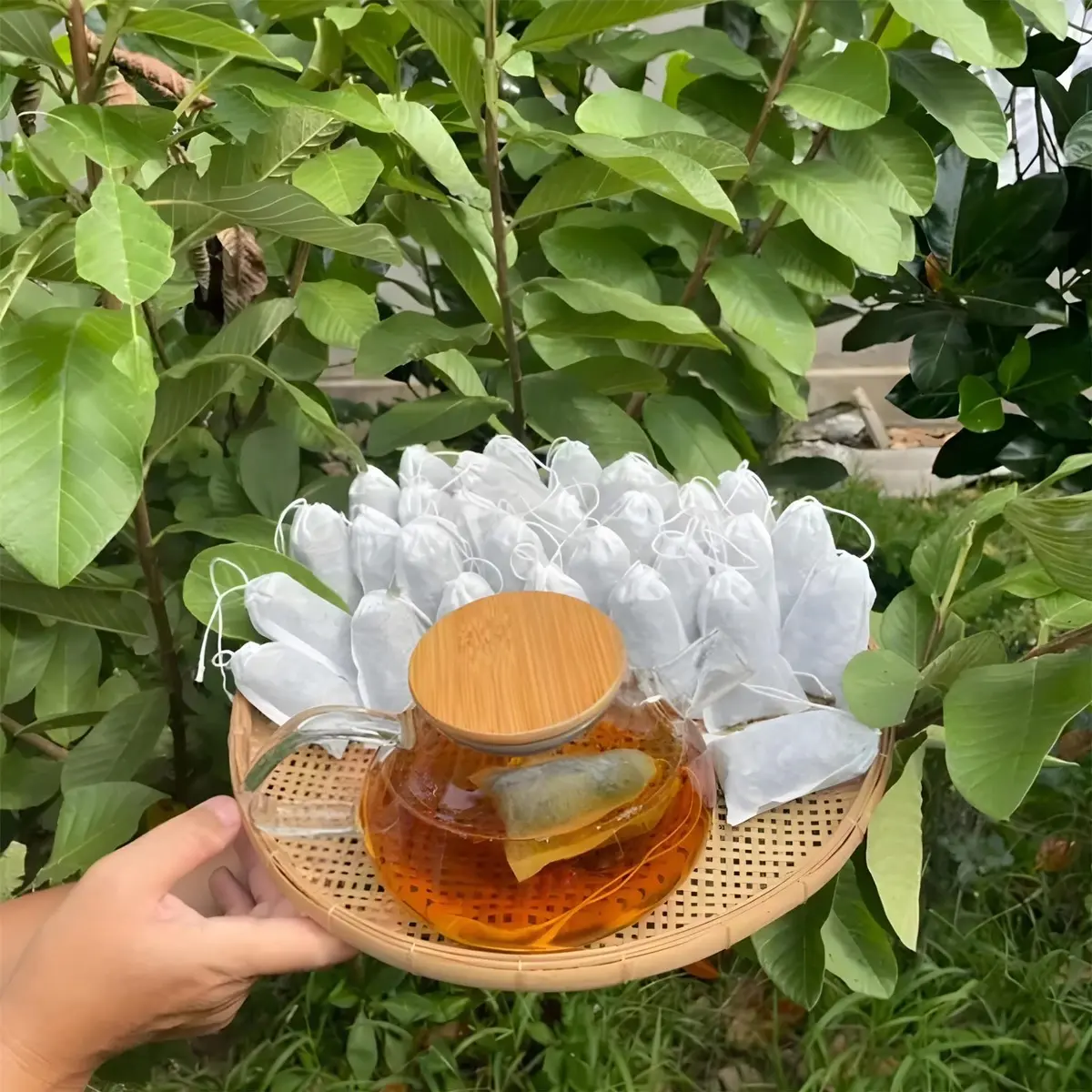 60 trà lá ổi non 3 vị Mộc Thanh ( +tặng 5 thêm túi) Trà Mộc Thanh  : lá ổi non- lá sen - cỏ ngọtTea Nước Trà Chè.