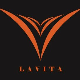 VITA CAMERA