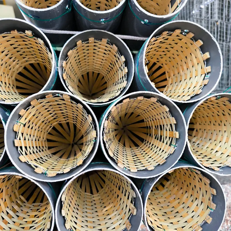 combo 5 ống trúm lương ống nhựa kích thước 60mm siêu nhạy (có túi thở) tặng thuốc đặt lươn 2