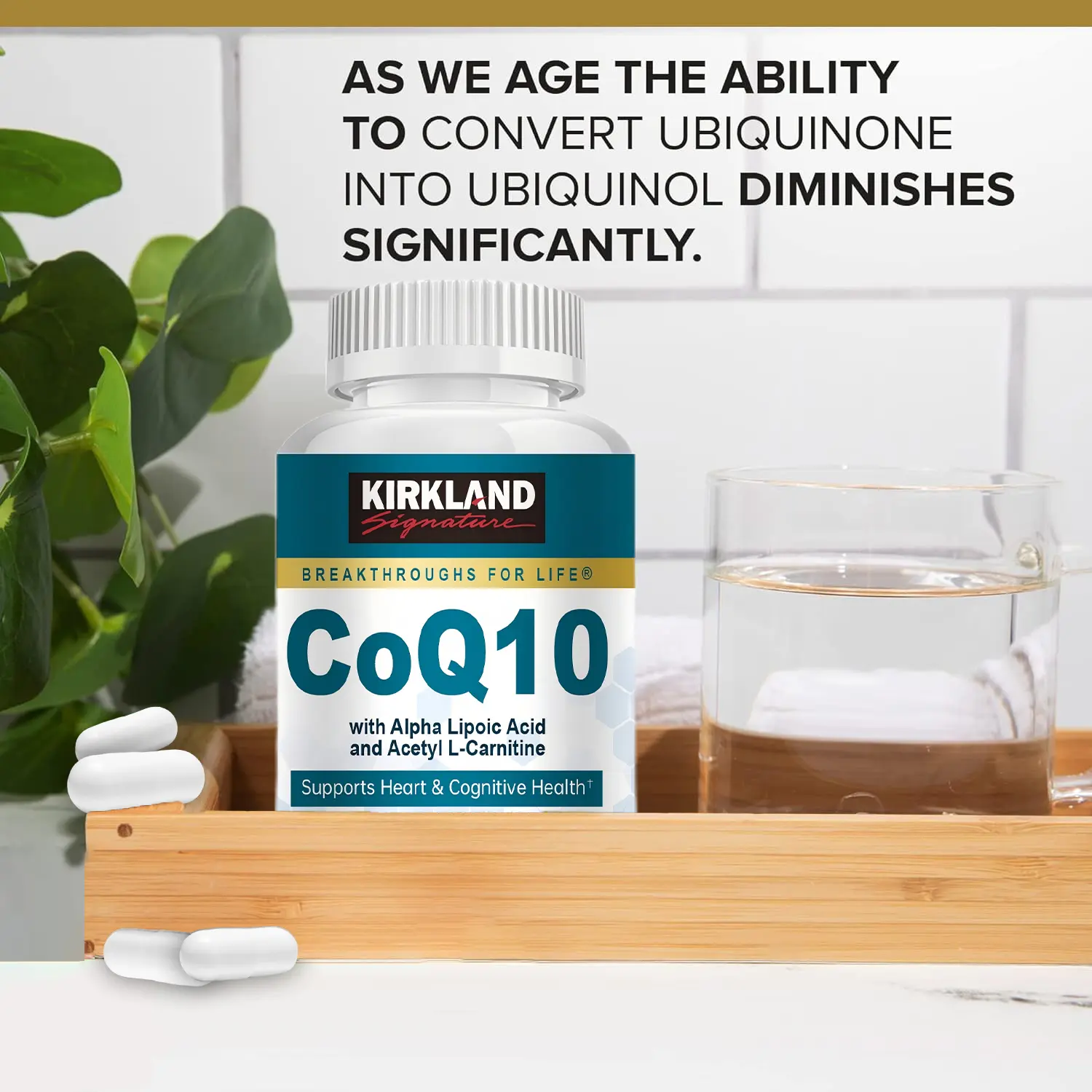 Gold CoQ10 + Alpha Lipoic Acid + Acetyl L-Carnitine HCl - TikTok Shop Philippines Gold CoQ10 + Alpha Lipoic Acid + Acetyl L-Carnitine HCl - TikTok Shop Philippines