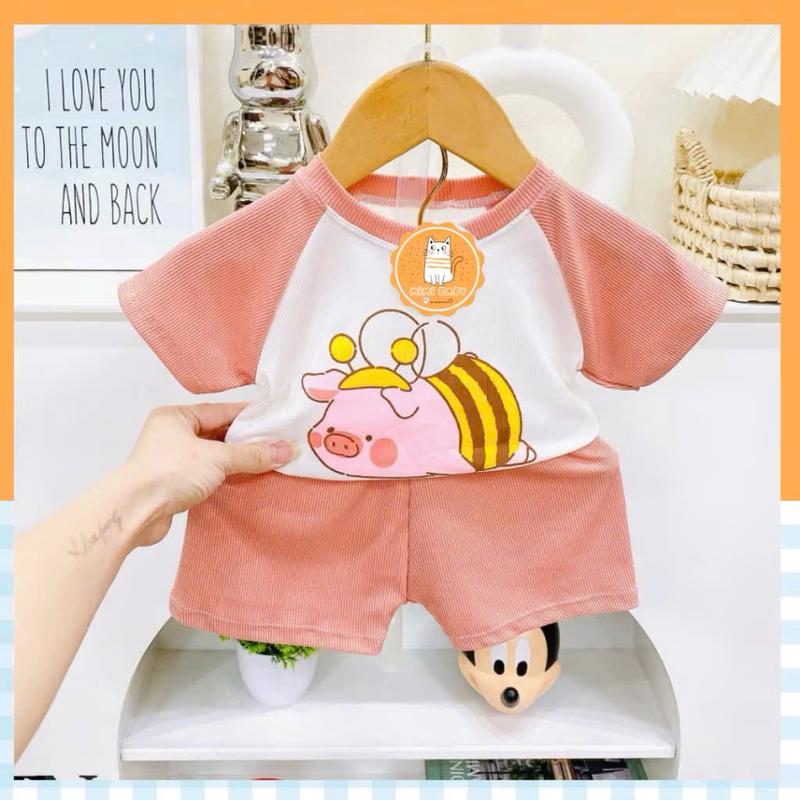 Product Introduction of Combo 6 Bộ (Mua 5 bộ tặng thêm 1 bộ bất kì) Cộc Tay tăm lạnh phối in thú. Cho Bé Trai/Bé Gái 3-16kg, Thoải Mái 3