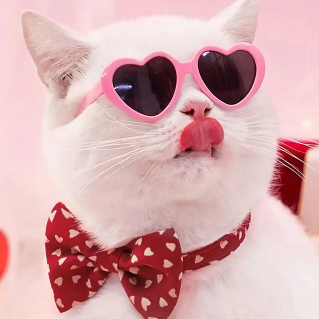 Kacamata Hewan Peliharaan KacaMata Lucu kucing Anjing KacaMata Mainan Kucing Mainan Anjing