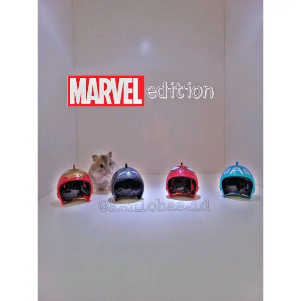 helm topi hewan hamster sugar glider 3