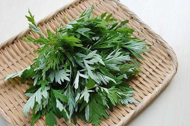 Product Introduction of Xà phòng dược thảo sạch sâu chuyên biệt dành cho da viêm ngứa, mụn lưng Dưỡng Body Sen 10