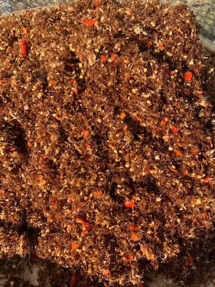 Muối kiến vàng NGUYÊN CON - Đặc sản Tây Nguyên Bập Bùng | 50g - 100g Chua chua, CayCay