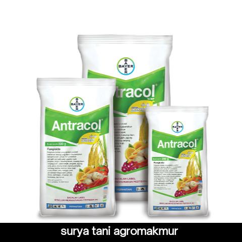 Fungisida Antracol 1KG /500GR/250GR untuk Tanaman Pangan dan ...