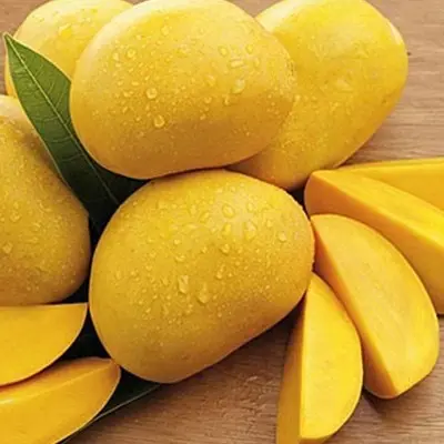 Xoài sấy muối ớt chua chua ngọt ngọt 5