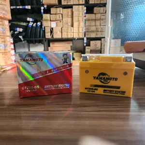 Aki Kering Yamamoto GTZ5s Car