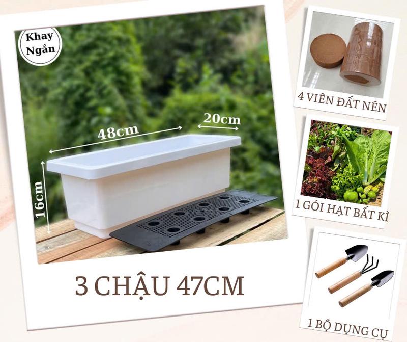 [SET TRỒNG CÂY] CHẬU TRỒNG CÂY,BÔ DỤNG CỤ LÀM VƯỜN,GÓI HẠT GIỐNG VÀ ĐẤT NÉN XƠ DỪA Tiện Ích diệt khuẩn kháng sâu bệnh bổ sung nhiều vi sinh hữu cơ cho cây rau củ quả hoa