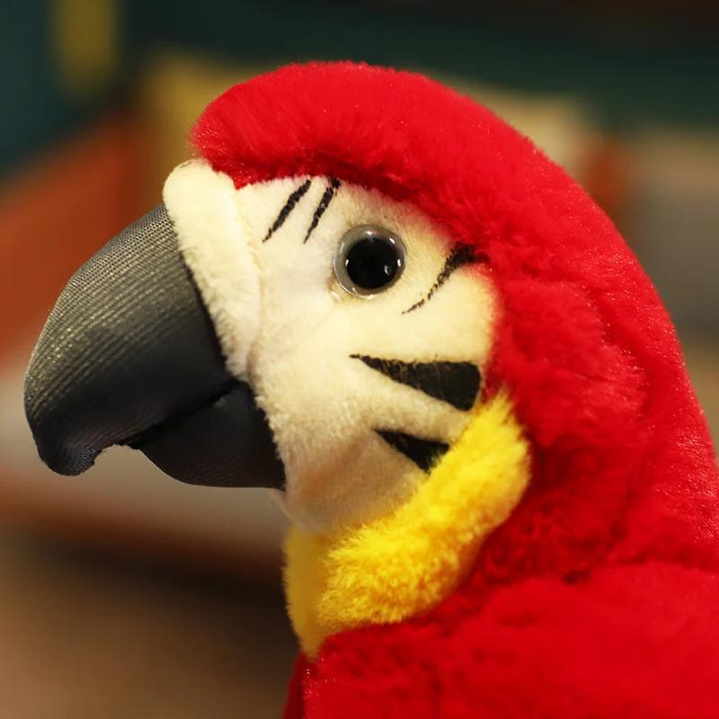Product Introduction of 25CM Lifelike Bright Colorful Parrot Plush Toys Soft Simulation Wild Animals Stuffed Bird Doll Children Kids Gift Home Decor 10