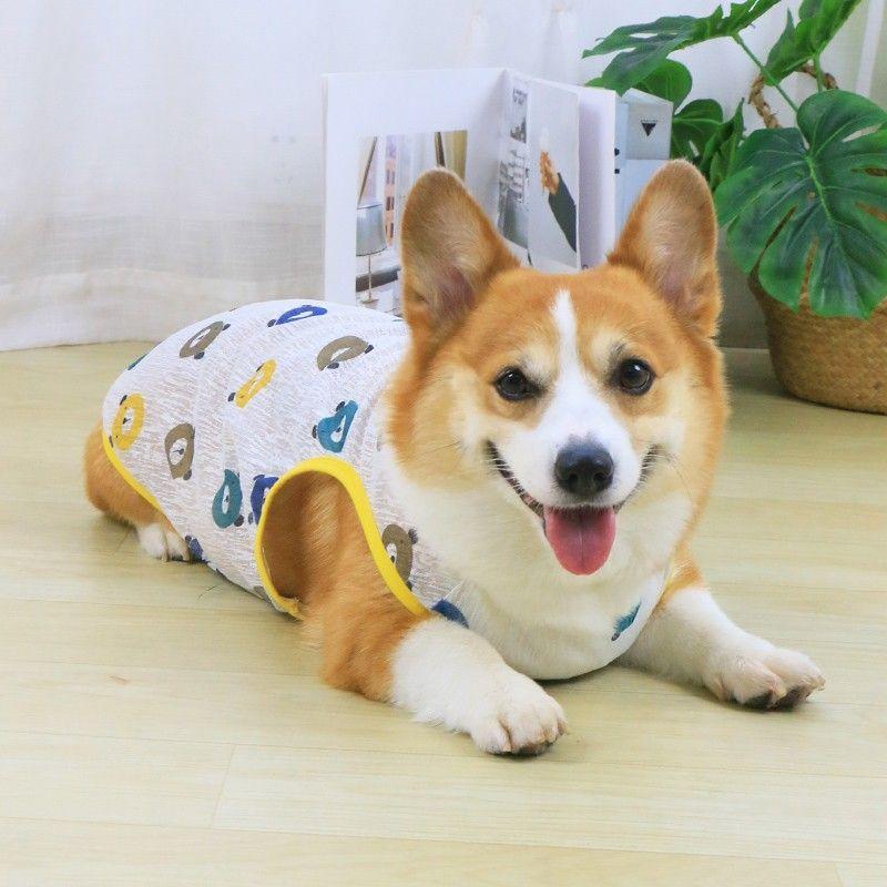 Pet Dog Clothes Thin Puppy 2024 New Summer Anti-Lint Corgi Teddy Summer Medium-Sized Dog Puppy 1