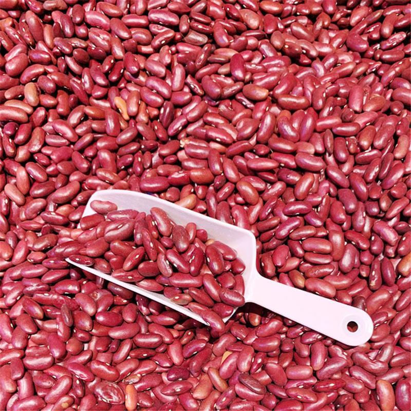 Product Introduction of Candy Colors Multifunctional Frosted Small Shovel Kitchen Flour Grain Candy Coffee Bean Ice Scoops Party Buffet Kitchen Tools 13