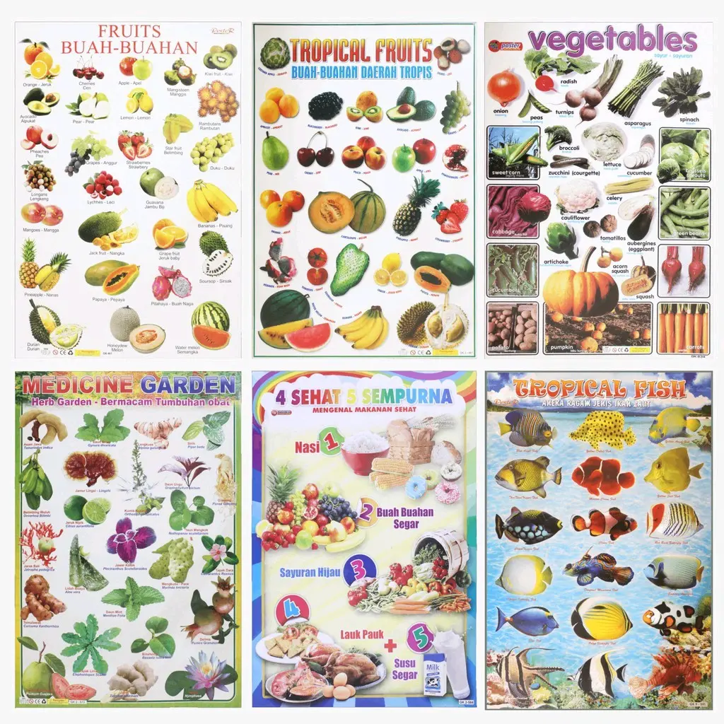 Poster Edukasi Anak / Alat Peraga Sekolah & Pendidikan Ukuran 35x50cm
