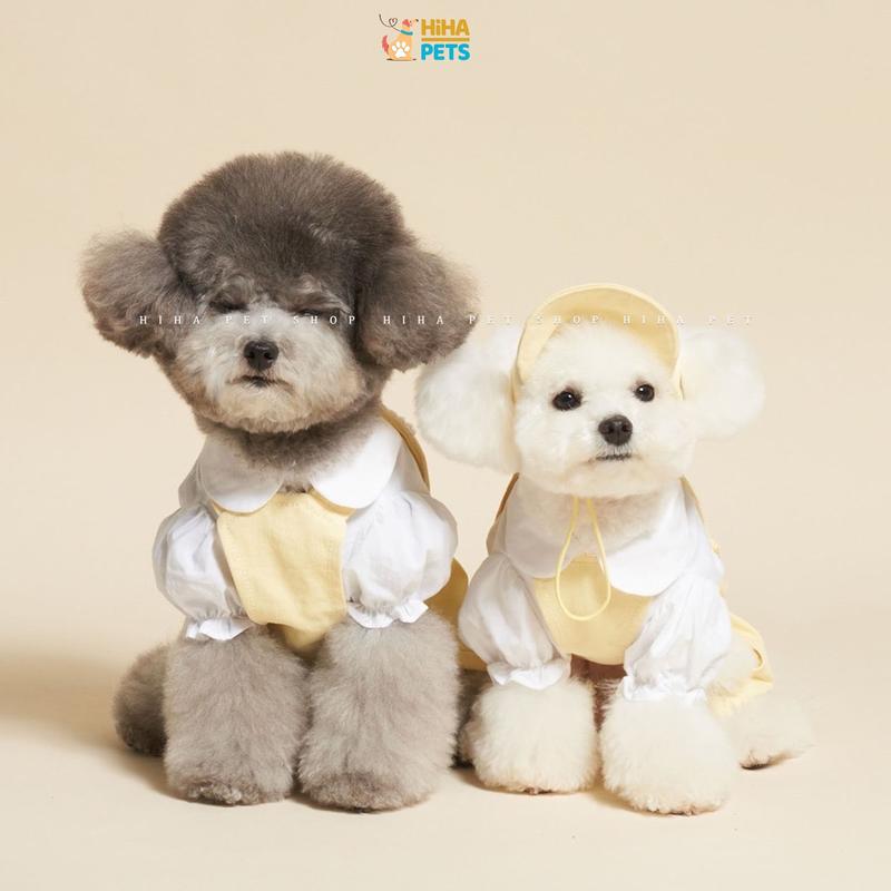 Set Series School Váy Hoặc Jump Và Nón Cực Cute Cho Chó Mèo Mát Mùa Hè Mùa Xuân Quần Áo Thú Cưng Dễ Thương Hiha Pets. 2