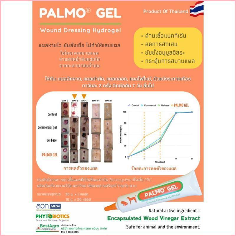 Product Introduction of dhf6513vb6eshop PALMO Gel เจลใส่แผล เร่งการหายของแผล สมานแผล ทาแผล สำหรับสุนัขและแมว ขนาด 10-30 กรัม 5