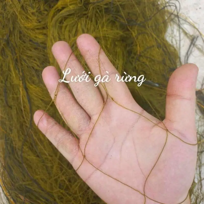 Lưới gà rừng dài 50m cao 5m mắt 12 phân viền bấm chì chống rối 2