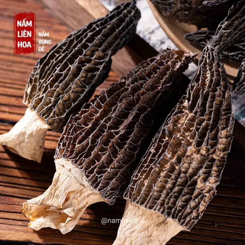 NẤM BỤNG DÊ  30G - 50G Thơm Ngon Thịt Nấm Dày Không Chất Bảo Quản, Chay mặn đều dùng được, Shop Food 4