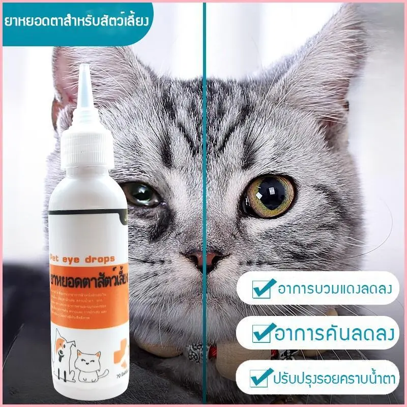 Sinleyshop5 Jst ผลิตภัณฑ์หยอดตาสุนัข แมว สุนัขและแมว 70ml สูตรอ่อนโยน ดวงตาที่สะอาด ใช้ได้ทั้งสุนัขและแมว ที่นิยมมากที่สุด