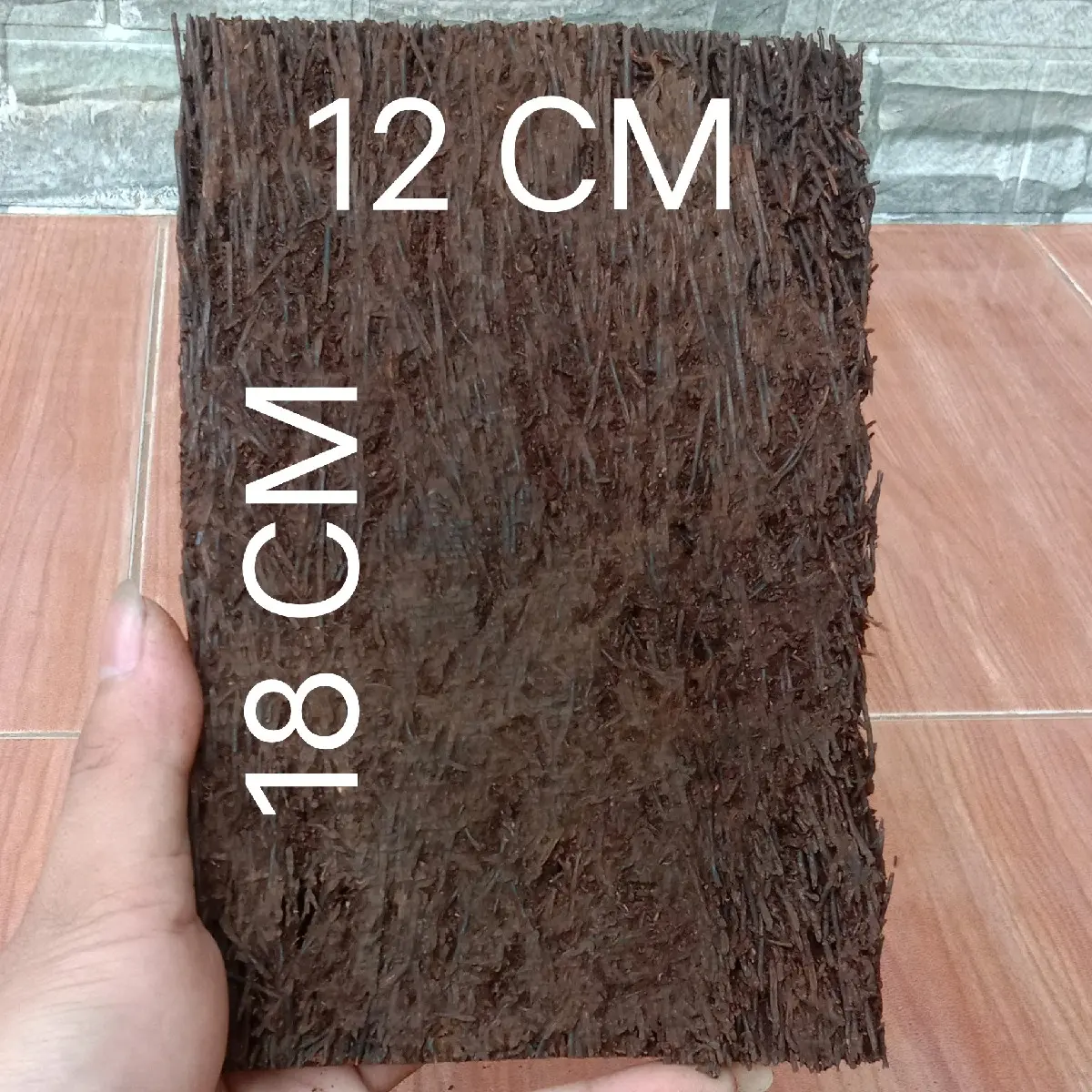 Papan pakis ukuran 18/12 cm untuk media tanam anggrek dll