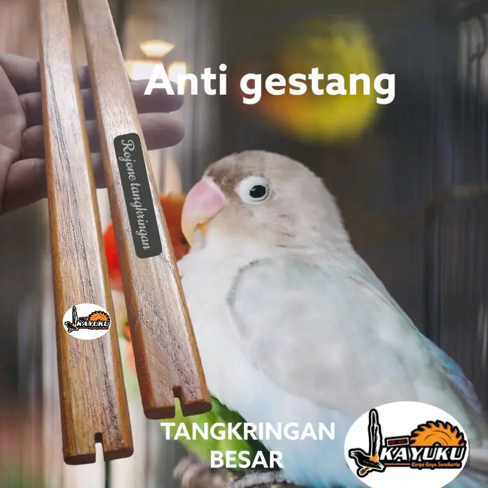 Tangkringan Besar Lovebird Anti Gestang