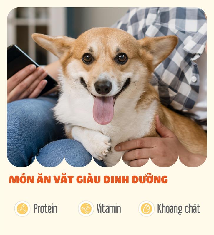 [Quà tặng không bán] Thịt Gà Vịt quay cho chó Natural Core 70g bổ sung năng lượng tức thì hỗ trợ tăng cường sức khỏe cơ bắp và xương khớp đào thải độc tố [Date tháng 5/2025] 2