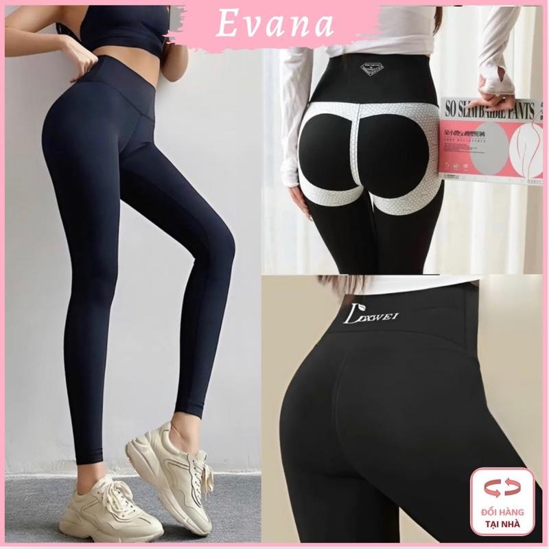   QLG04   Đẹp QC  Quần LEGGING 7.0 Tập Gym Yoga Su Đúc Quần LEGGING Định Hình Tôn Dáng Bản To Gen Bụng 