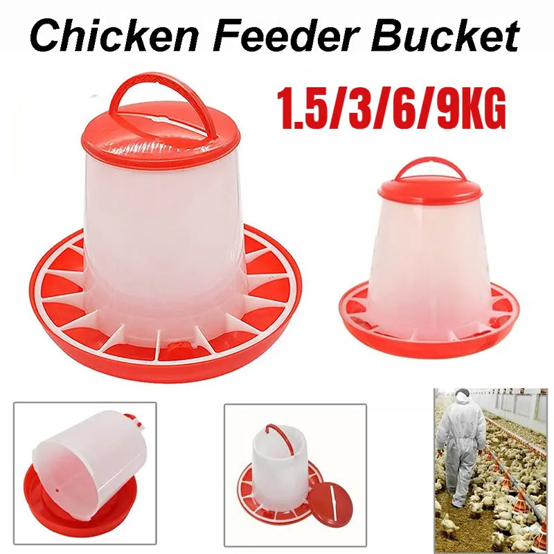 1.5/3KG Poultry Feeder Chicken Bucket Automatic Drink Feeding Goose Animal Fodder Barrel Container Tools Bekas Makanan Ayam