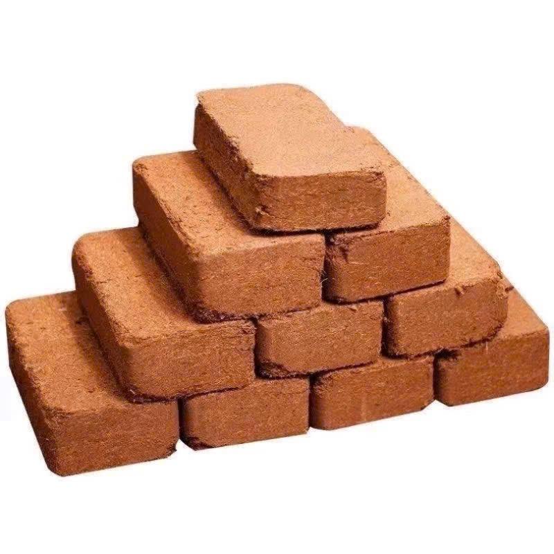 [SET 5 ĐẤT XƠ DỪA] CHẬU TRỒNG CÂY,GÓI HẠT GIỐNG VÀ ĐẤT NÉN XƠ DỪA Tiện Ích diệt khuẩn kháng sâu bệnh bổ sung nhiều vi sinh hữu cơ cho cây rau củ quả hoa