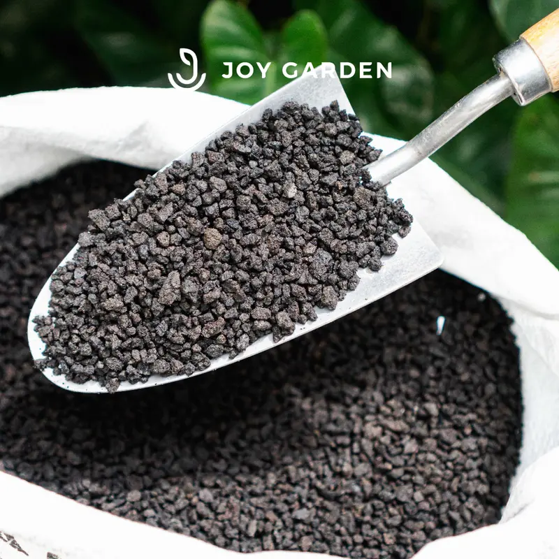 (1kg) Đá Lava đen (Nham Thạch đen) nhập Indo - Rải mặt, trộn đất trồng sen đá - Hồ cá - Kiểng lá - Bonsai | Joy Garden 0