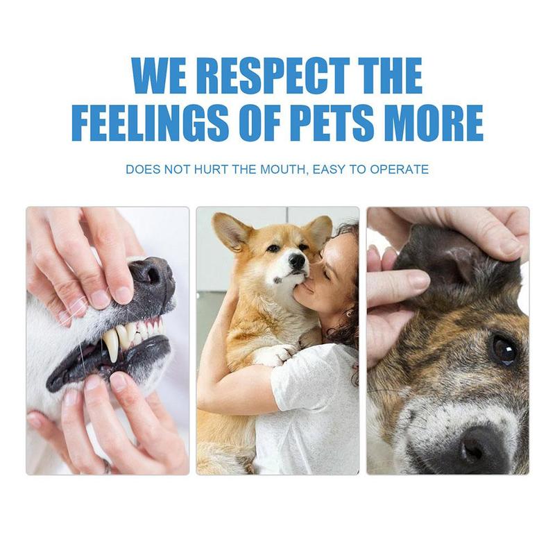 Product Introduction of Oral Care Finger Wipes for Dogs and Cats EasytoUse Pet Teeth Cleaning Solution for Fresh Breath L8B9 23