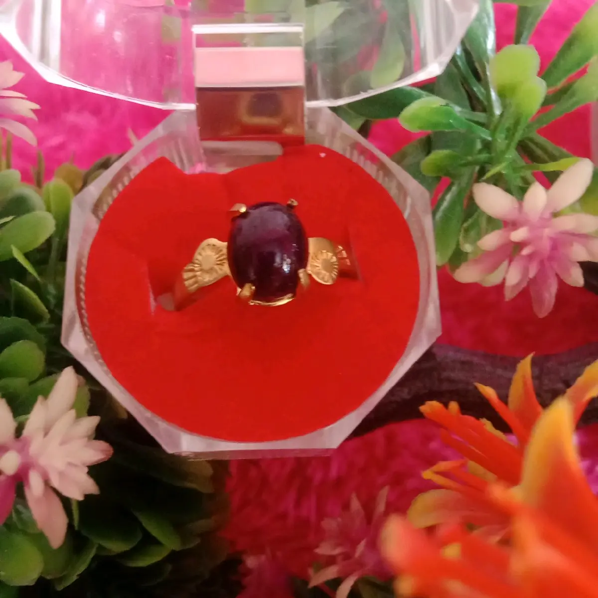 cincin koin