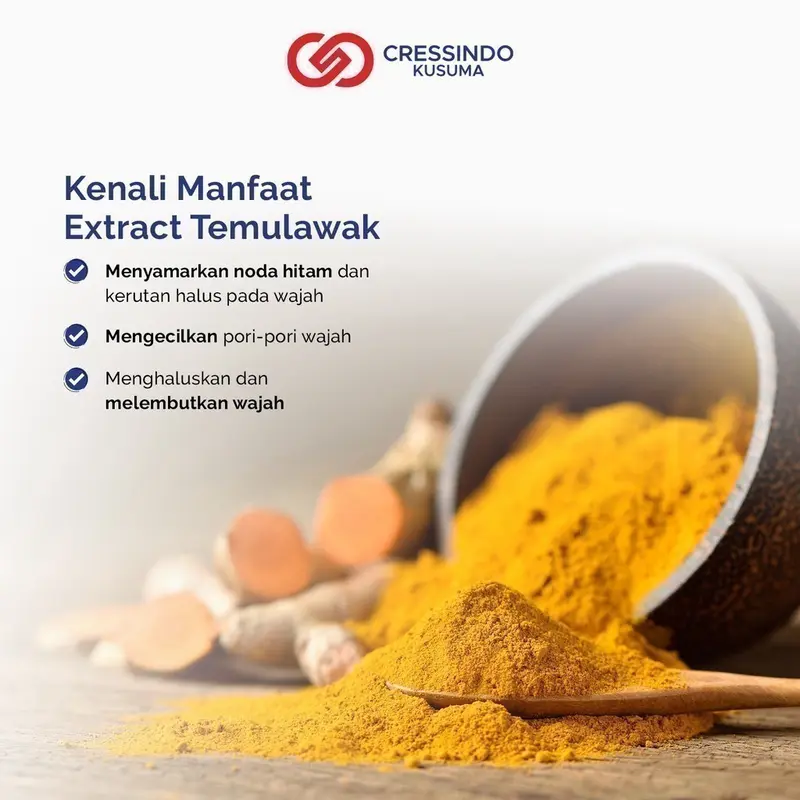 THE FACE Temulawak Brightening Soap 40gr Mencerahkan Niacinamide Vitamin Pencerah 3