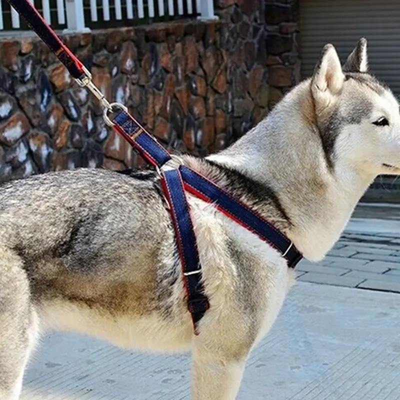 Iofdig | Dây Xích Có Thể Điều Chỉnh Cho Thú Cưng, Chó, Chó Con, Dây Kéo, Dây Nịt, Thắt Lưng, Dây Đeo Tay Đi Dạo Tại Nhà 3