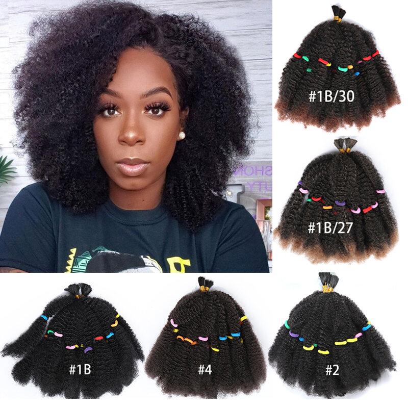 Rambut Palsu Jalinan Afro Twist, Rambut Jalinan Marley, Falemei Marley ...