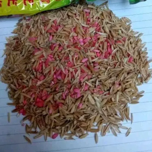 trấu mồi chuột nội địa trung dạng hạt gạo tẩm,gói 50gam 1