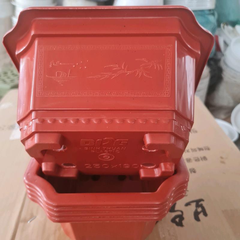 Combo 5 cái Chậu ang250 thích hợp trồng cây bonsai kiemg la cay cảnh 