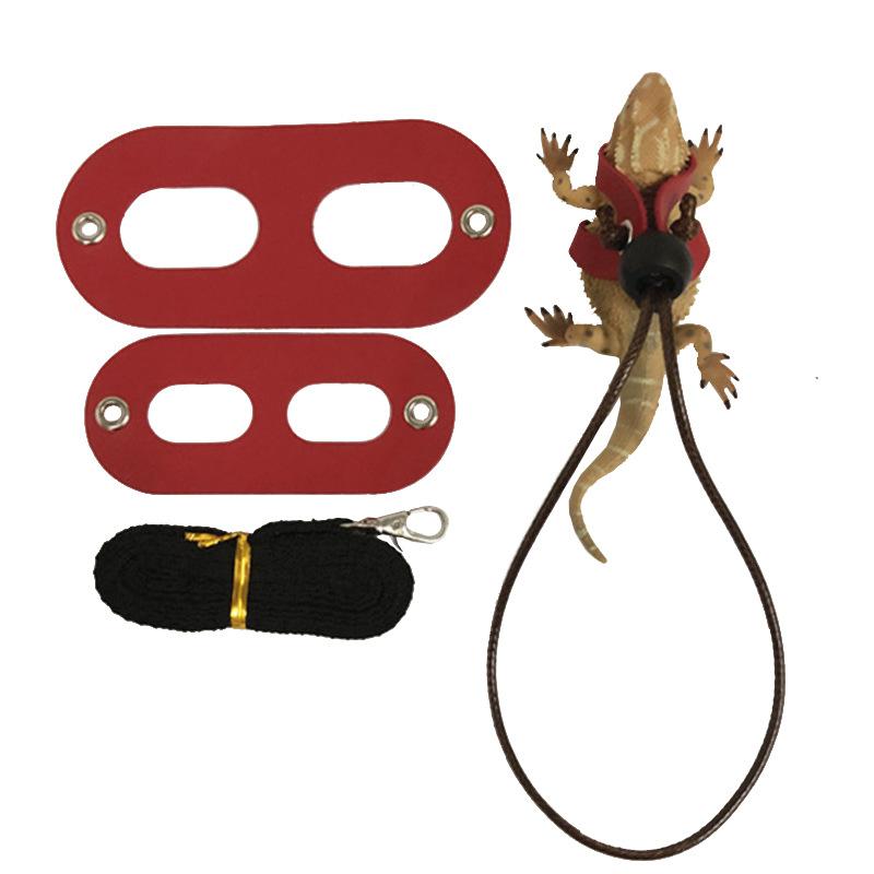 Product Introduction of 2025 Reptile Pet Lizard Leash with Wings Squirrel Harness Chinchilla Leash Green Gecko Lizard Guinea Pig Outdoor Leash 15