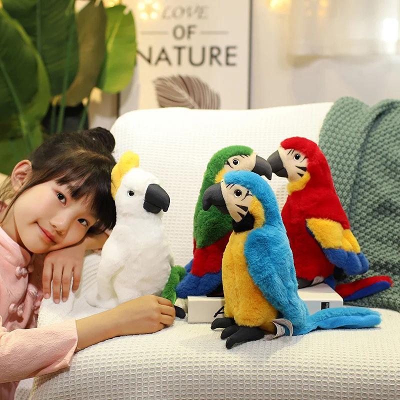 Product Introduction of 25CM Lifelike Bright Colorful Parrot Plush Toys Soft Simulation Wild Animals Stuffed Bird Doll Children Kids Gift Home Decor 16