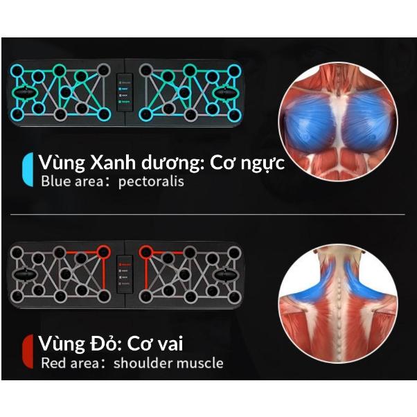 Product Introduction of Dụng cụ hít đất đa năng, đồ chống đẩy sức chịu nặng siêu khỏe tại nhà cao cấp có vạch kẻ hướng dẫn Xà Đơn Tập Luyện Tại Nhà Hiệu Quả 27