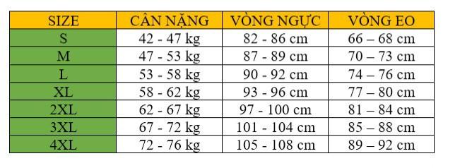 Product Introduction of Áo dài mẹ cả Bộ chất liệu lụa cao cấp hàng đính kết thủ công cực sắc nét 0