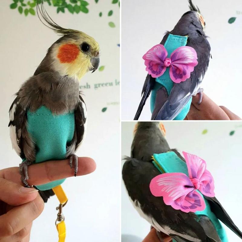 Product Introduction of Parrot Harness Elastic Shoulder Strap Parrot Flight Suit Leak-proof Parrot Flying Vest Parrot Flying Diaper Bird Clothes 12