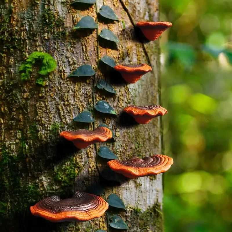 Faux Ganoderma Tree Hanging Ornament, Resin Decoration, Outdoor Garden & Courtyard Decoration, Home Decor 2