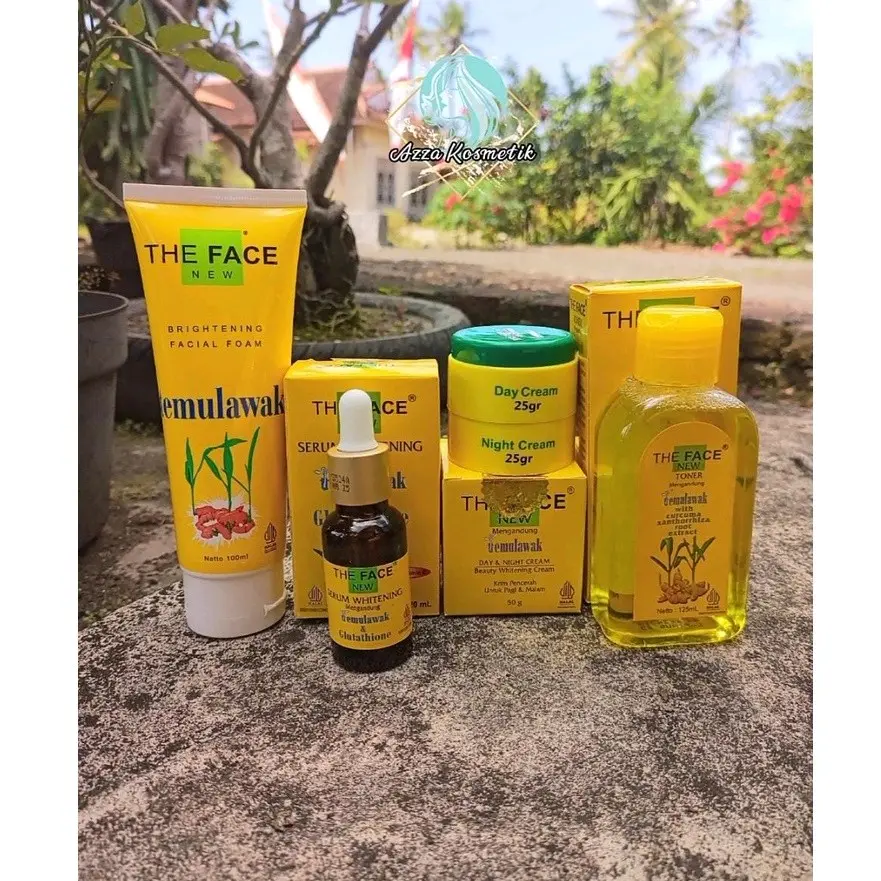THE FACE TEMULAWAK PAKET KULIT BERMINYAK SABUN FACIAL FOAM