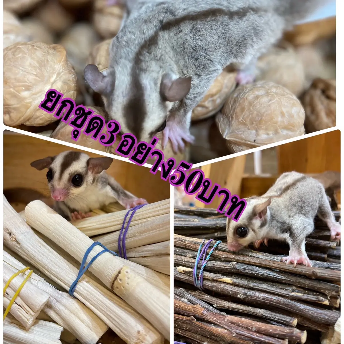 ไผ่หวาน ไม้แอปเปิ้ล วอลนัลยก ชุดไปเลย️!