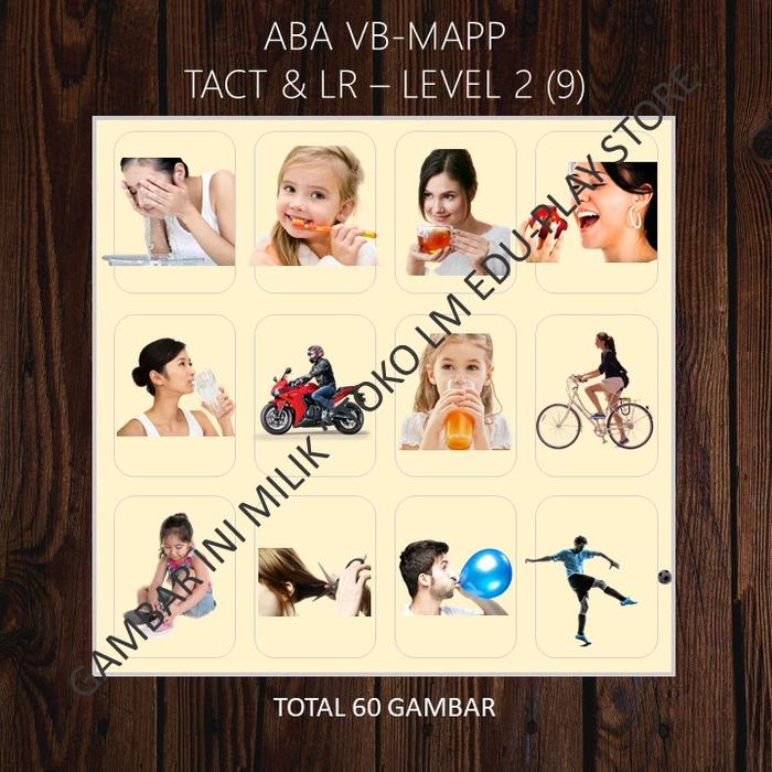 Jual Flashcard ABA VB-MAPP Tact & Listener Responding Level 2 (9 ...