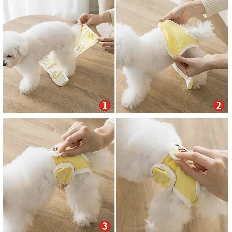 COMBO 2 Món Gồm Tã Lót Và Yếm Quần Sinh Lý Cho Chó Cái Quần Chip Chó Mèo Thú Cưng Ngày Rụng Dâu Giá Rẻ Hihapet. 8