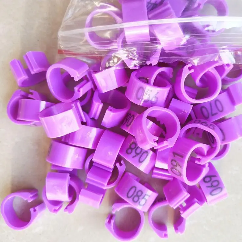 Nhẫn Chân Chim Bồ Câu, 100 Chiếc, Đường Kính 8Mm, Mở Rộng, Vòng Kẹp Kỹ Thuật Số, Vòng Đánh Dấu, Có 10 Màu, Thích Hợp Cho Chim 5