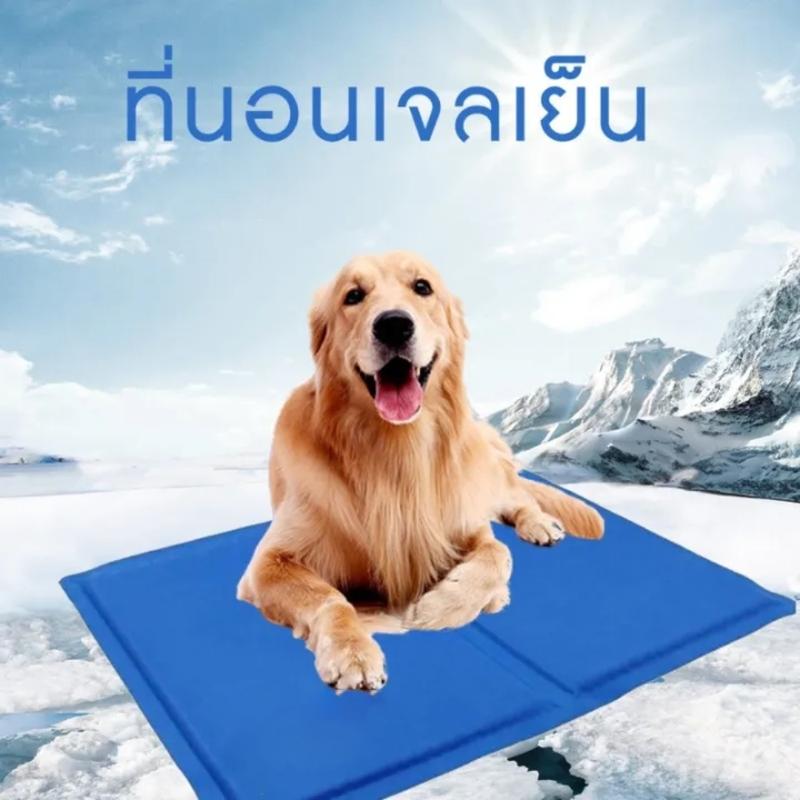 Product Introduction of DULEPIG สัตว์เลี้ยง ที่นอนเจลเย็น แผ่นเจลเย็นสุนัข ที่นอนเจลเย็น แมว Pet cool mat ผ้าระบายความเย็น เจลเย็นหมานอน สินค้าดี ราคาถูก สัตว์เลี้ยงเสื่อน้ำ พร้อมส่งในประเทศไทย ขนาด XS  S  M L 40*30cm 90*50cm ที่นอนสุนัข 27