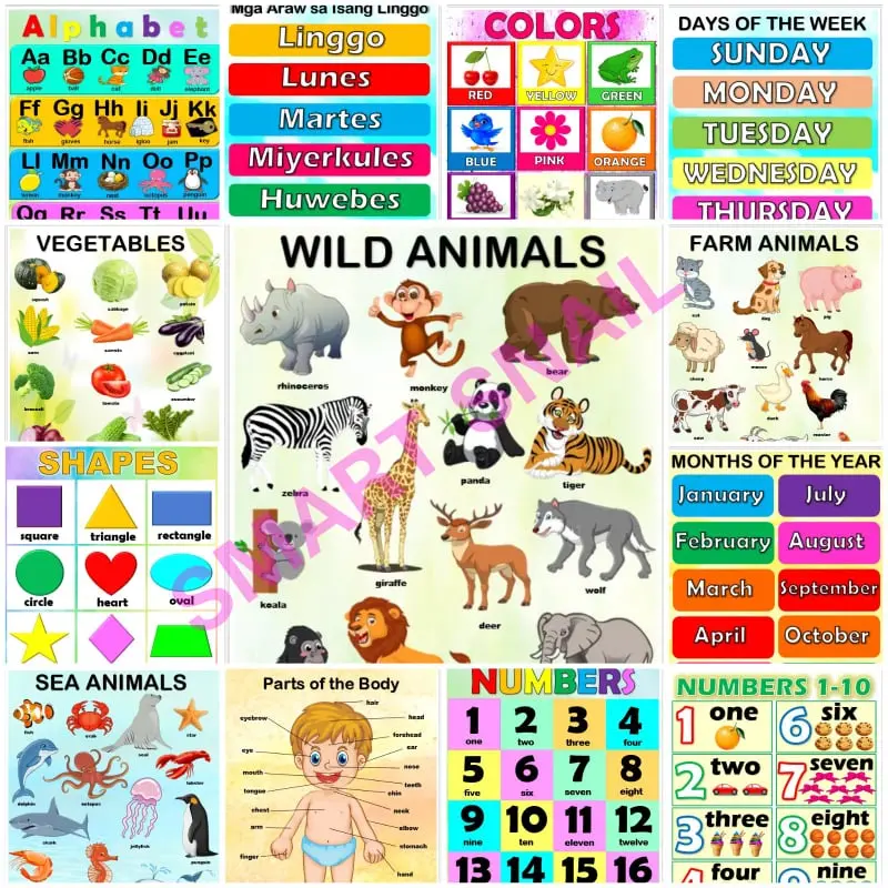 Laminated Educational Wall Charts for Kids - TikTok Shop Philippines
