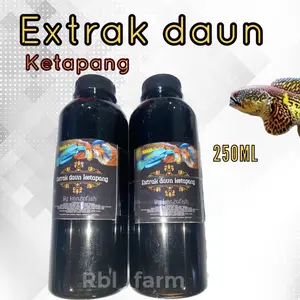 EXTRAK daun ketapang premium 250ml